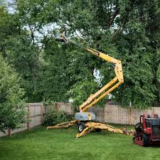 Best Tree Preservation Services  in Rushville, NE